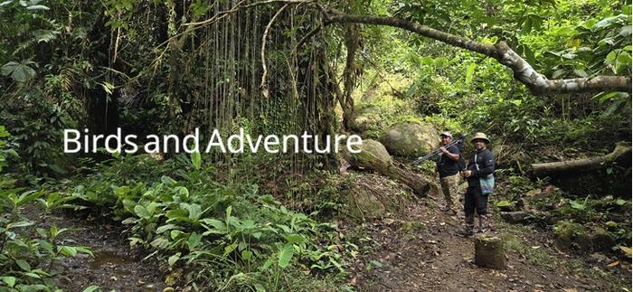 Dates and pricing Dates and pricing