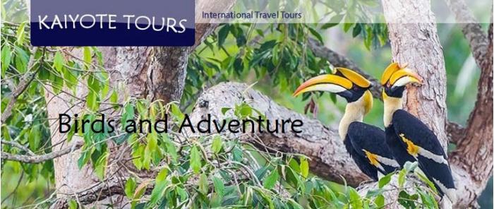 Asia Birding Tours Culture Trips Adventure Vacations