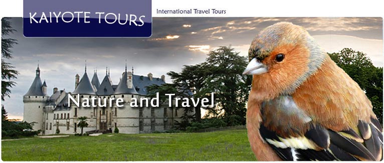 France Home page